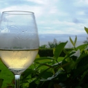 tami weller - @alwinediva - Twitter