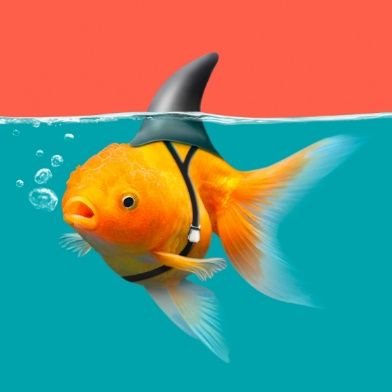 BenWill74553412's profile picture. Father of three. Putter out of Bins. Finisher of Plates. Blower of Noses. Look upon my works, ye mighty, and despair.