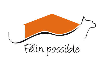 Association de protection féline ||| Adoption de chats et chatons ||| Dons déductibles des impôts                    ▶Recherche urgente de familles d'accueil ◀