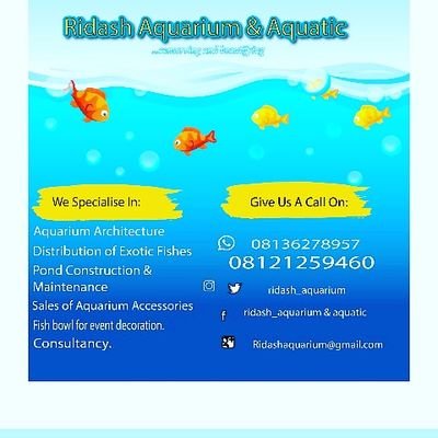 Business enthusiasm| DESIGNS| Aquarist| FISH LOVER|....