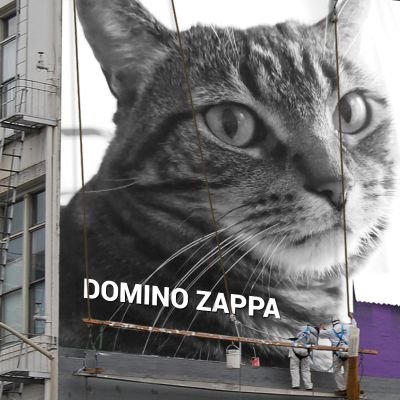 Frank Zappa's cat, striving to make the world a better place for future generations.