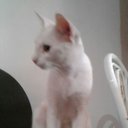 Fernando Albuquerque - @Fernando_OVER11 - Twitter