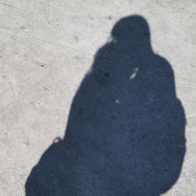 z915969144's profile picture. 