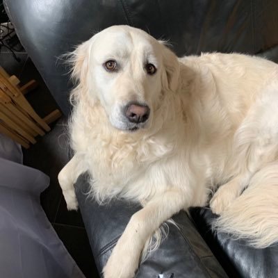 dbmarzag's profile picture. 