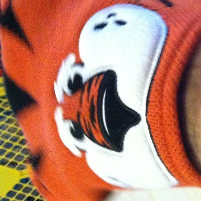 theRbeezy's profile picture. Gamer/Musician