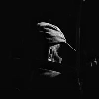 Peatón del sur (@peatondelsur) 's Twitter Profile