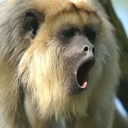 Eric Kraus - @Deadkrau5 - Twitter