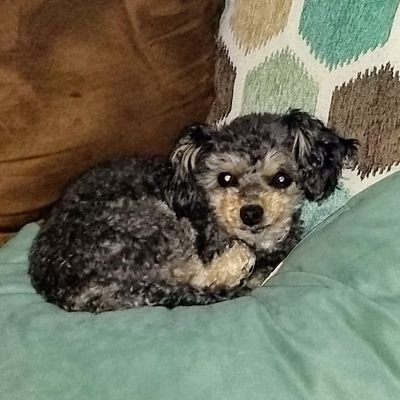 XfilesLA's profile picture. truth seeker