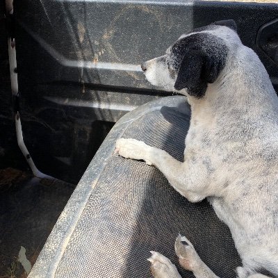 Oogathepark1's profile picture. Cynic