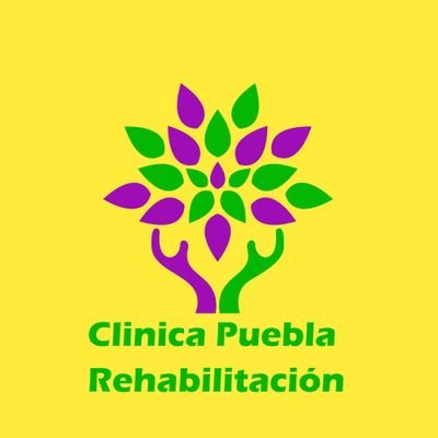 clinica especializada en tratamiento de padecimientos articulares de rodilla y columna