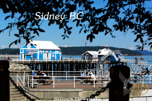 Want to know what is happening in Sidney BC, local boutique shops, tourist attractions & events? This is where it happens!