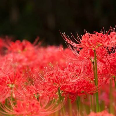 ただただ愚痴なんの需要もないけど愚痴アンチではないのでご理解の程