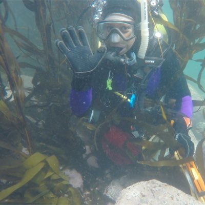 PhD, Ecology & Evolutionary Biology | Postdoctoral Researcher @WHOI | kelp aquaculture, morphology, genetics, & chemistry