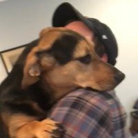 Jake Devereaux (@devjake) 's Twitter Profile
