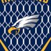 Hartland Lacrosse (@hartlandboyslax) Twitter profile photo Hartland Lacrosse (@hartlandboyslax) Twitter profile photo