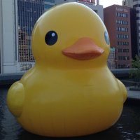 アヒルの子 (@makotch_jpn) Twitter profile photo