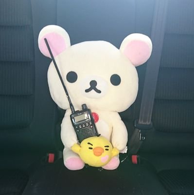 のぶりん のぶりん (@noburin_k) / Posts / X