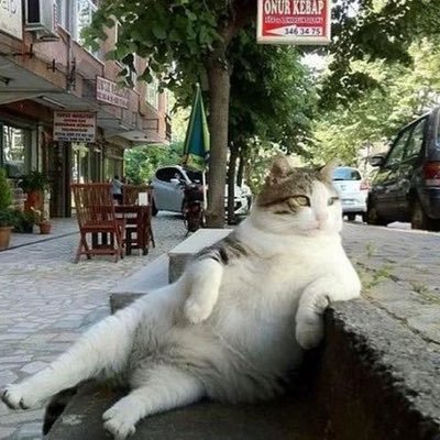 Milesmile_Jazz's profile picture. 2018年4月から不動産投資、2023年1月からFXを開始。ビジネス書、自己啓発書の書物や動画を投資に活かしていこうと模索中。FXはスワップポイント100%重視❗️