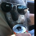 Seth Knox - @unclediffy - Twitter