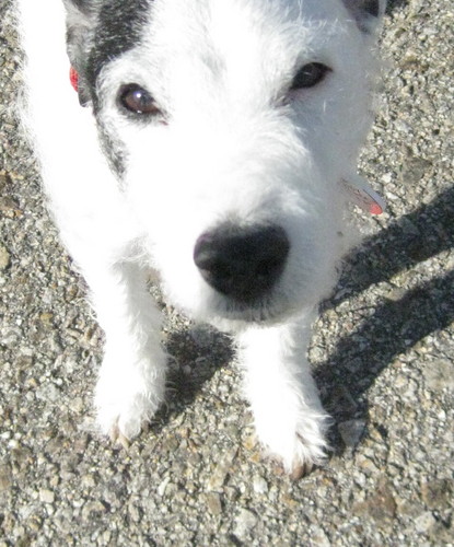 mmvix's profile picture. 