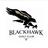 playblackhawk's profile image