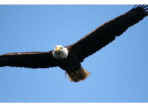 mrs221222's profile picture. 