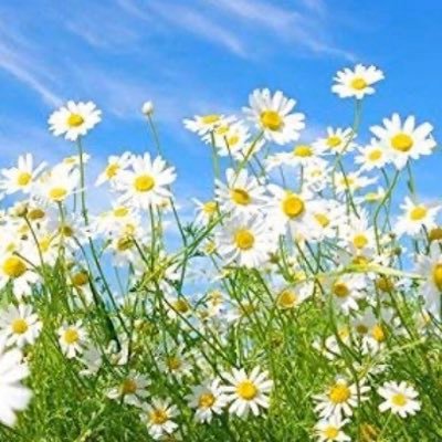 curiosity_maths's profile picture. 