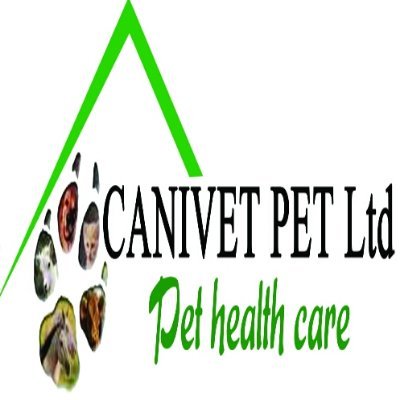 justinga01's profile picture. veterinarian