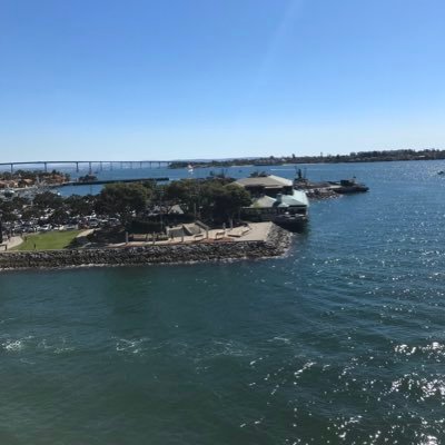 NayZeus's profile picture. 