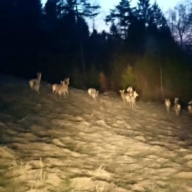 Mirek57025681's profile picture. 