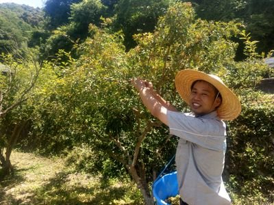 農家を支える技術者集団 田和農機です。
和歌山県北部で農業の効率化のサポートをしています。
農機のことならお任せください。農機の買取もおこなっております。
事業内容はヤンマー農業機械 特約店 / 中古農機買取販売 / スマート農業サポート / 補助金サポート / 紀美野町の山椒、はちみつなど農産物の販売