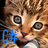 ActionMarc's profile image