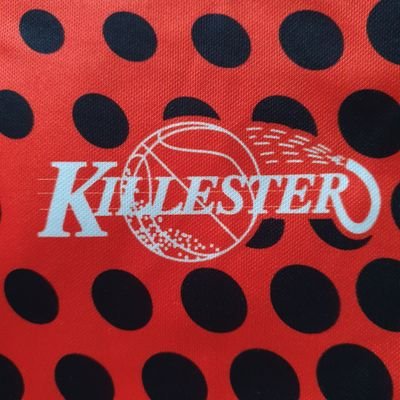 Killester WBC are one of Ireland's Wheelchair Basketball teams based in Dublin. Views are our own. Sponsors: https://t.co/OhpUAgZGyn