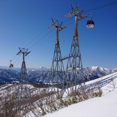 nekomnski's profile picture. スキー・索道垢です⛄
普段は本垢にいますがTLは見てます。
本垢→@nekomnp