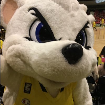 バスケしたい Jvluhcbjt35zf1u Twitter