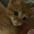 ねねこのアイコン