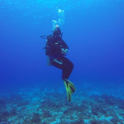 francescamtl's profile picture. Living that scuba life!