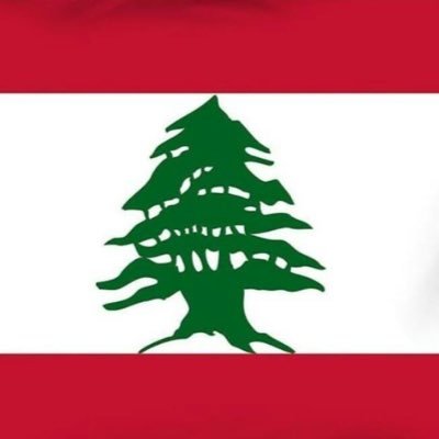 ziad_drayhi's profile picture. construction building and roads