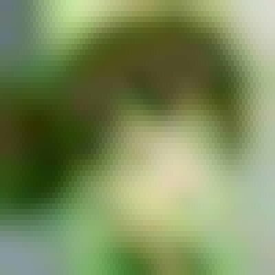 涼宮ハルヒさんのプロフィール画像