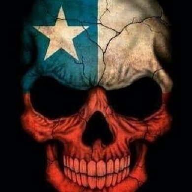 Lic. en Historia, Ingeniero Comercial, Magister Ciencia Política, Magíster Historia Militar y Pensamiento Estratégico, PhD Estudios Internacionales© IM⚓RN ✪