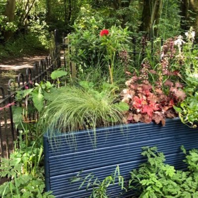 Volunteers looking after the John Prestwich memorial garden, Worsley Woods, Salford @Worsley_Woods @SalfordWildlife @SalfordVRangers @RHSBridgewater @SalfordCVS