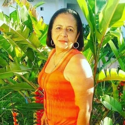 soto_montesino's profile picture. 