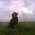 Kikiceescomtessebes (@kikiceescomtes1) 's Twitter Profile