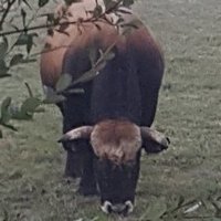 christian lecomte (@christianlecom7) 's Twitter Profile