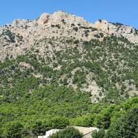 Francisco Collados (@alfredo24404099) 's Twitter Profile Photo