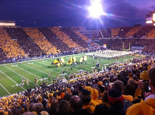 davelhawk's profile picture. 