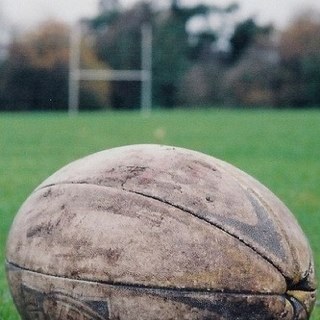 VitalsCrav's profile picture. 