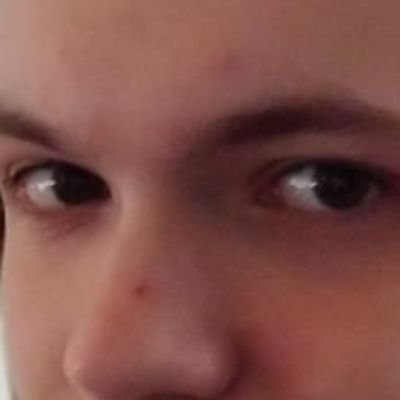 tiddlemeister's profile picture. The new sensation, reaping the nation...