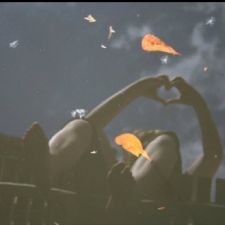 kathryn7512's profile picture. i love @justinbieber and the @jonasbrothers. ive been to both concerts and there both amazing . i love you guys.