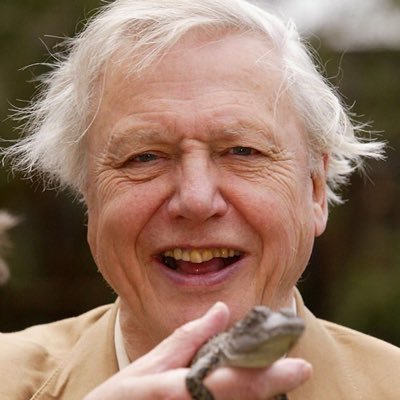 Clips of Sir David Attenborough out of context